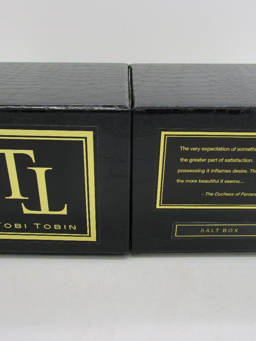 Lot of 2 TOBI TOBIN "Salt Box" 2-Wick 9 oz Luxury Scented Candles NEW